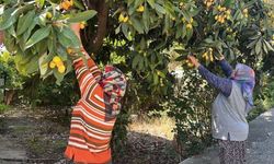 Yeni dünyayı kimse istemedi: Ücretsiz dağıttı