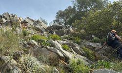 Çıktığı dağda yolunu kaybetti, yardımına ekipler yetişti!