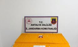 Jandarmadan Alanya’da zehir tacirlerine ağır d*rbe: 2 gözaltı