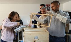Antalya’da arıcılık kurslarına yoğun ilgi: Kontenjanlar doluyor