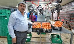 Antalya’da domates fiyatları dudak uçuklattı: Başkandan ‘denge’ uyarısı