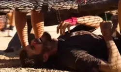 Parmakları kırıldı, Barış Murat Yağcı yarışmadan diskalifiye edildi!