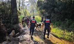 Keçiler için seferberlik: Jandarma 41 hayvanı buldu