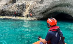 Kemer’de Akdeniz foklarının yuvası keşfedildi, mağaraya girişler engellendi!