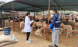 Kepez’de ücretsiz kurban kesim noktaları belli oldu