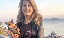 Köpeğinin tasmasıyla öld*r*ldü: “Tatildeyim” mesajıyla başlayan şüphe c*n*yeti çözdü