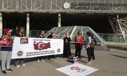 Nekropol Müzesi’nde güvercinler ölüm tuzağına takılıyor