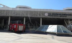 Antalya’daki müzede ölümleri durduracak önlem: Sonar sistem kurulacak
