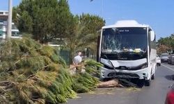 Alanya’da korkutan anlar: Alk*llü sürücü midibüsle refüje çıktı