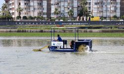 Antalya Büyükşehir’den Boğaçayı’nda ekosistemi koruyan bilimsel bakım çalışması