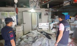 Antalya'da kaçak balık operasyonu: 603 kilogram yasaklı ürüne el konuldu