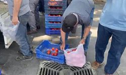 Antalya’da üretti, 5 liraya satılmadı: 4 ton domatesi bedava dağıttı