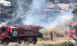 Alanya Değirmendere’de yangın: 1 dönümlük alan zarar gördü