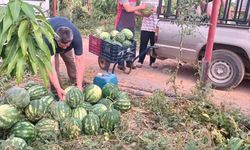 Gazipaşalı hayırsever çiftçiden 10 ton karpuz bağışı