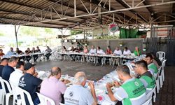Kepez Belediyesi’nde 245 tür bitki üretimi: İlçe yeşile bürünüyor