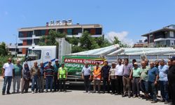 Kilosu 180 TL: Antalya Büyükşehir üreticiye ücretsiz dağıttı