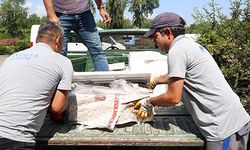 Antalya Otogarı'nda sıkı denetim: 260 kilo balığa el konuldu
