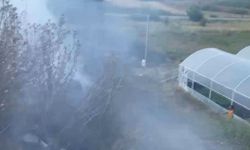 Serik'te yangın seralara metreler kala söndürüldü