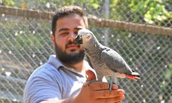 Antalya Doğal Yaşam Parkı yeni üyeleriyle şenlendi