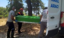 Alanya’daki feci kazada sürücü olay yerinde hayatını kaybetti