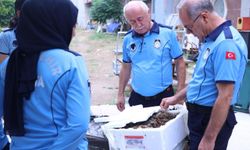 Antalya Otogarı'nda şoke eden sevkiyat! 90 kilo imha edildi