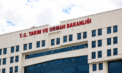 Tarım ve Orman Bakanlığı bin 874 personel alacak! Kadro dağılımı açıklandı