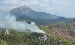 Antalya'da orman yangını paniği! Kemer'de ekipler seferber oldu