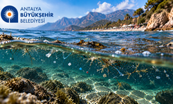 Antalya’da deniz kirliliği tartışması! Büyükşehir’den “Levant Akıntısı” yanıtı