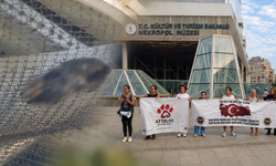 Antalya’da Nekropol Müzesi için kritik soru: “Kaç kuş daha ölmeli?”