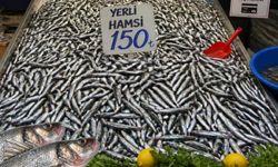Karadeniz sezonu açtı, Antalya gün sayıyor, yasak ne zaman kalkıyor?