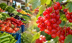 Antalya Hali’nde en yüksek fiyat 1.520 TL! İşte 22 Eylül listesi