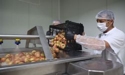 Korkuteli’de çiftçiye yeni kapı! 15 Bin 500 metrekarelik tesis açıldı