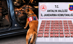 32 ilde dev operasyon: 298 tutuklama! Antalya da listede