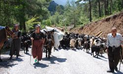 Antalya’da Yörüklerin göçü başladı