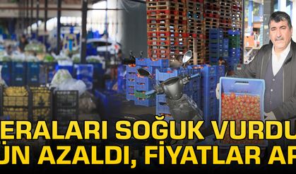 Seraları soğuk vurdu; ürün azaldı, fiyatlar arttı