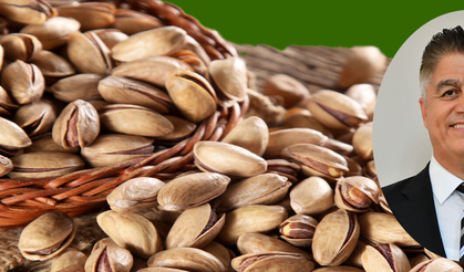 YURT DIŞINDAN GERİ DÖNEN FISTIKLARDA SON DURUM