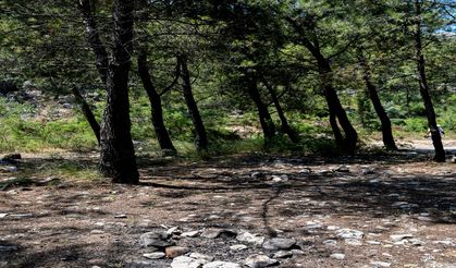 Antalya’da yasağı çiğnediler: İşte kanıtlar…