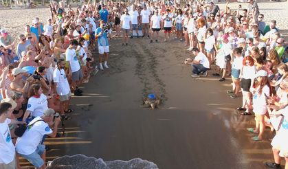 Belek'te yerli üretim: Caretta carettaya takıldı