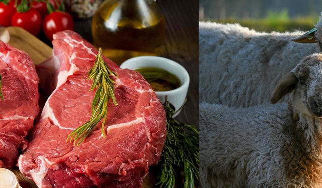 ANTALYA HAYVANCILIKTA SINIFTA KALDI