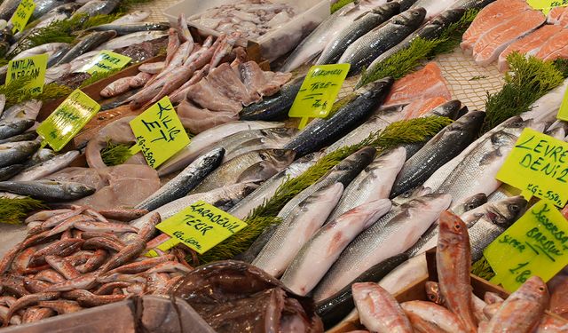 AV YASAĞI BAŞLIYOR…