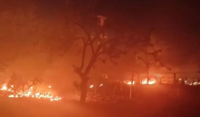 Çiftçiler tarlada sabahladı