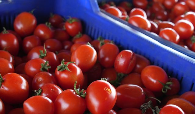 ZİRAİ DON ANTALYA’YI ETKİLEDİ Mİ? İŞTE FİYATLARDA SON DURUM