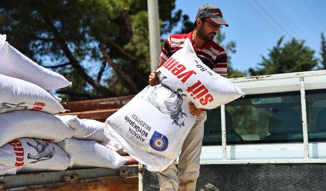 Antalya Büyükşehir Belediyesi’nden üreticilere yem desteği