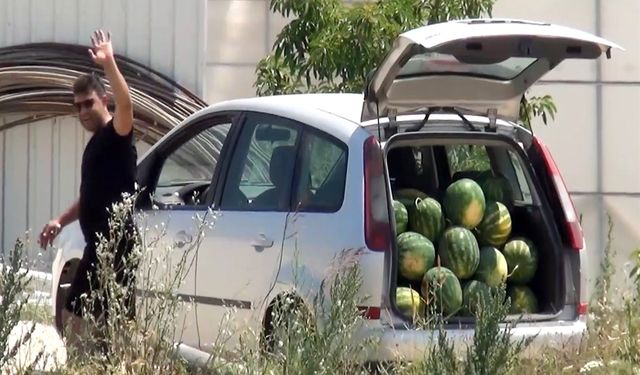 Antalya’da 15 dönümlük karpuzu bedava dağıttı