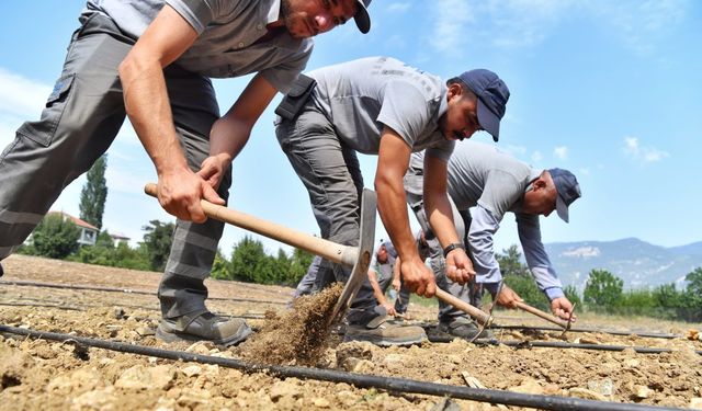 Konyaaltı’nda Çandır Fasulyesi toprakla buluştu