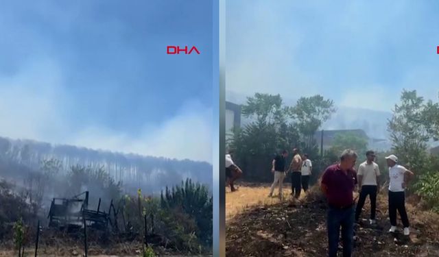 Maki yangını mahalleyi sardı, vatandaş gözyaşları içinde yardım istedi