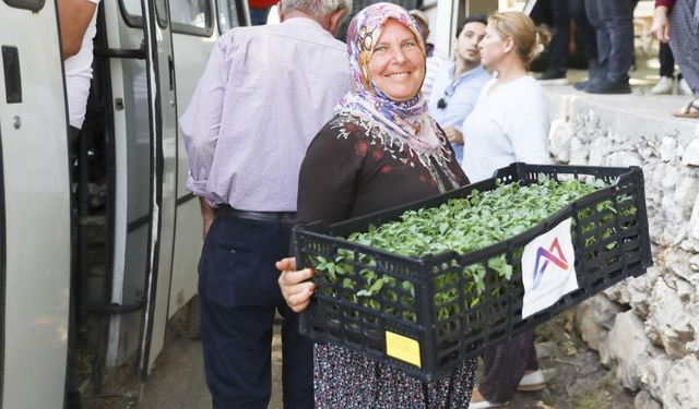 Mersin Büyükşehir Belediyesi’nden üreticilere fide desteği