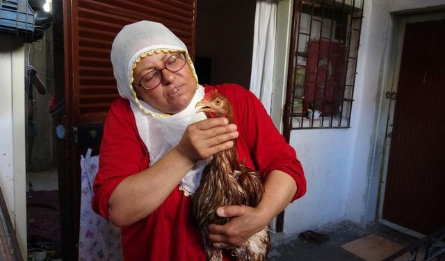 Mersin'de tavuğunu evladı gibi sevdi, hastalanınca kesmeye kıyamadı