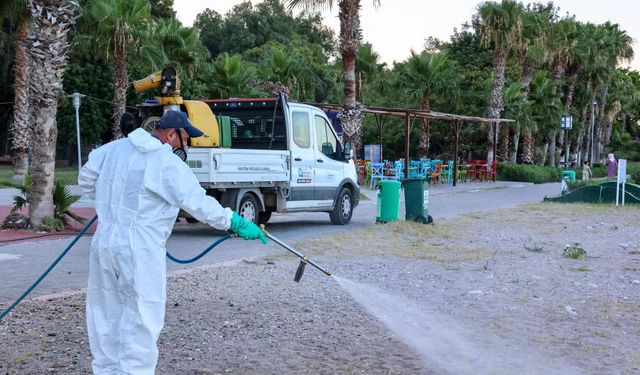 Antalya’da kene alarmı: Ekipler sahada!
