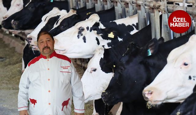 Şap hastalığı hakkında rahatlatan açıklama: “Korkulacak bir şey yok”